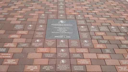 Legacy Bricks