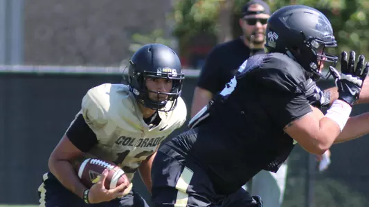 Liufau and Lynott
