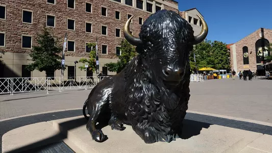 Buffalo Statue