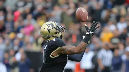 shay fields vs. california 2017