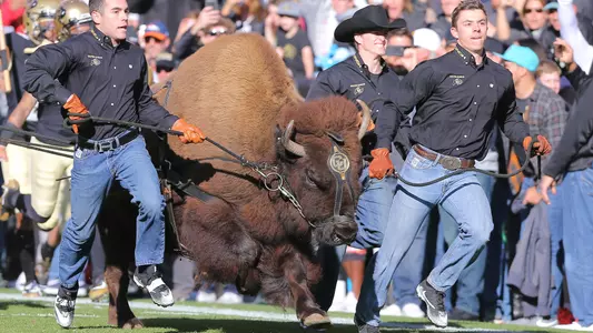 Ralphie