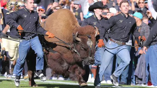 Ralphie