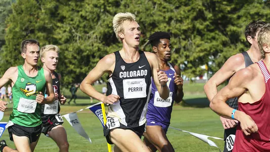 Zach Perrin