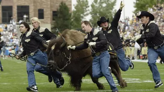 Ralphie IV