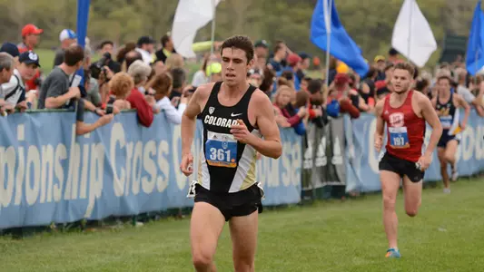 Ryan Forsyth