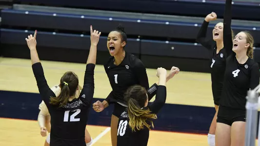 Volleyball Celebration