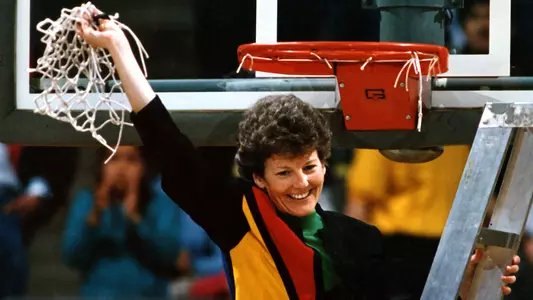 ceal barry net cutting