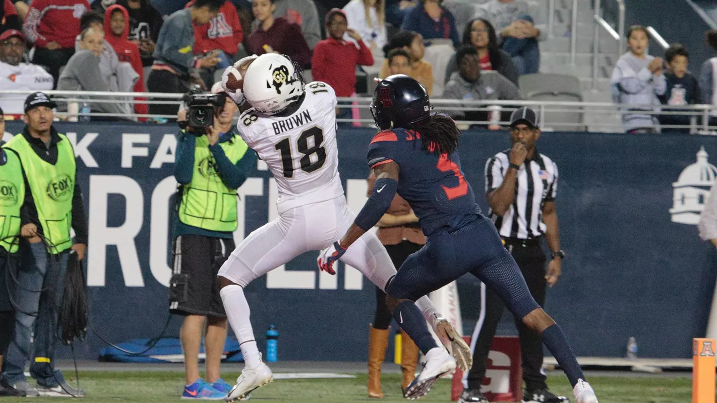 tony brown touchdown at arizona 2018