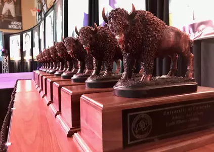 2018 Hall of Fame Trophies