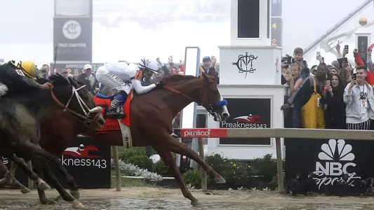 Elinor Wolf Preakness