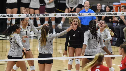 Colorado Utah Volleyball