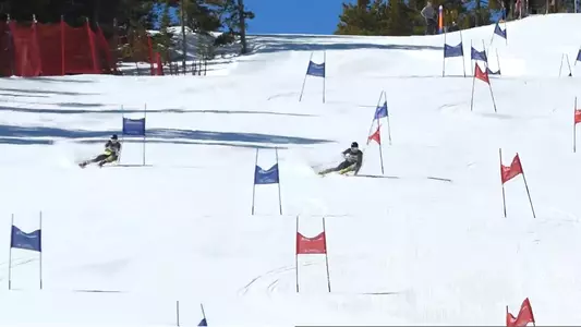 Dual Slalom