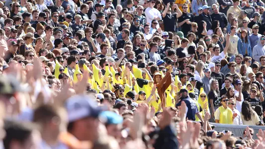 crowd at folsom field