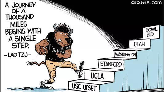 drew litton cartoon vs. usc