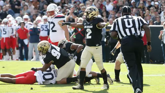 mikial onu vs. arizona 2019