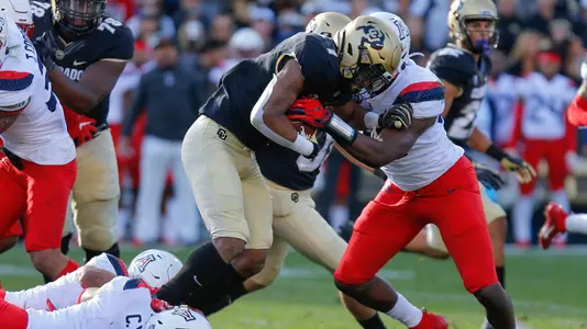 jaren mangham vs. arizona 2019