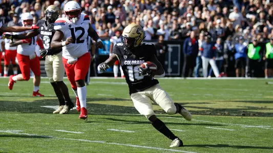 tony brown vs. arizona 2019
