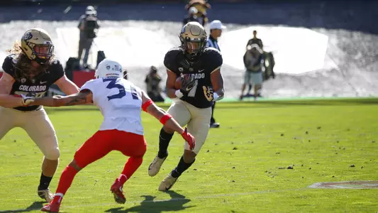 jaren mangham vs. arizona 2019