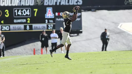 dimitri stanley vs. arizona 2019