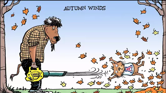 drew litton cartoon vs. arizona autumn wind