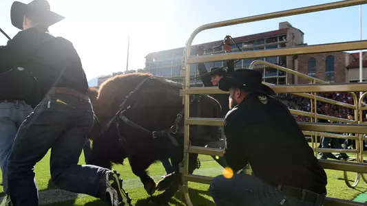 ralphie v