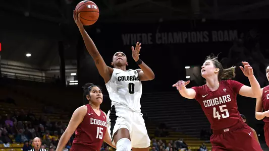 quinessa caylao-do vs. washington state 2019