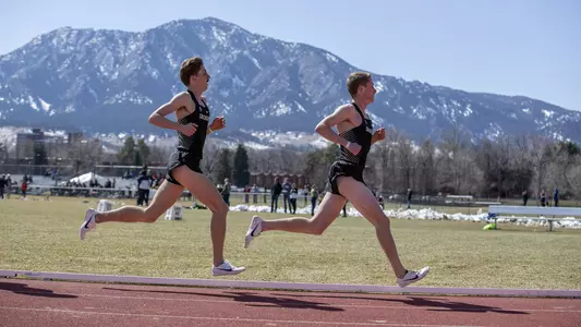 hornecker, smith