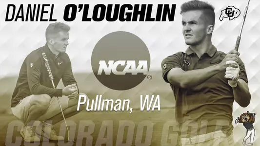 O'Loughlin Promo