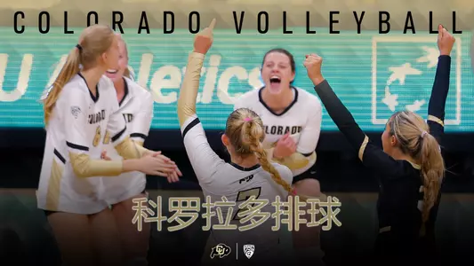 vb china