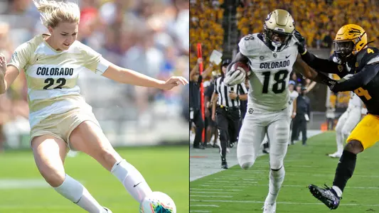 taylor kornieck tony brown aow