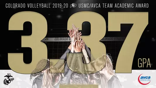 Volleyball Team Honor