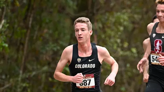 Alec Hornecker