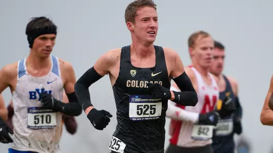 Alec Hornecker