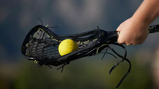 Lacrosse Stick