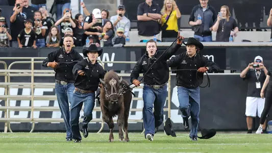 Dustin Horn