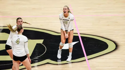 vs. Arizona