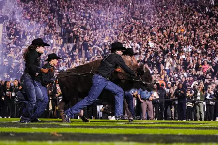 ApplegateJohanMackleyBehr23