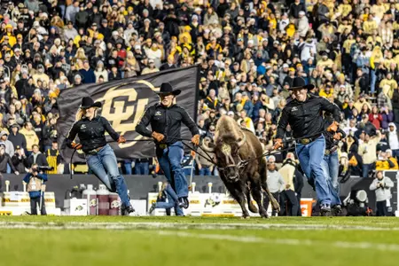 Ralphie run vs Stanford23