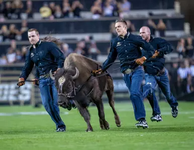 Ralphie run vs TCU 2022