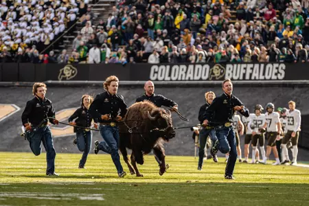 Ralphie run vs Oregon 2022