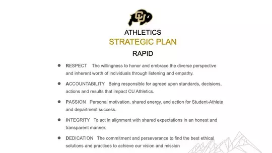 RAPID Core Values