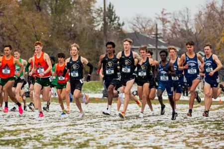 NCAA Header