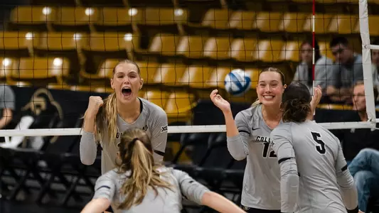 Cayla and Taylor Celly versus Arizona