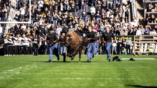 Ralphie vs Utah 1st half 2024