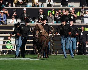 Colorado vs. Utah 11-16