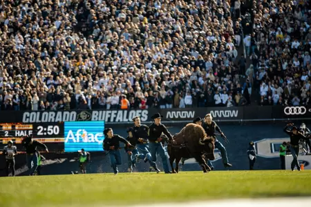 Ralphie vs Utah 2024