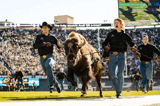 Ralphie vs Utah 2024