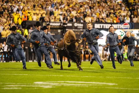 Ralphie vs Kstate2024