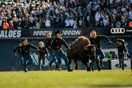 Ralphie vs Utah 2024