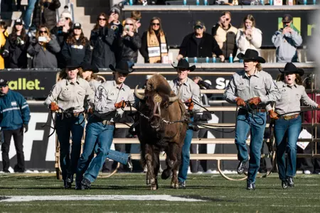 Ralphie vs OKState 2024